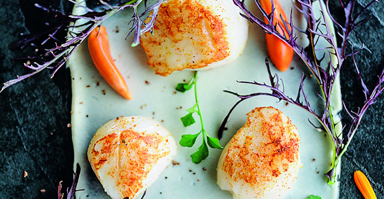 Tandoor Scallops